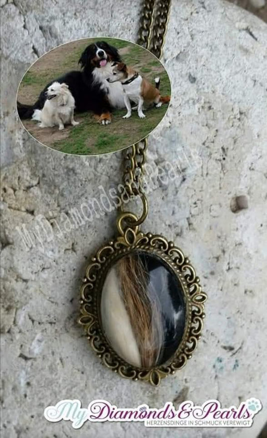 Herzensmaterial von drei Hunden eingearbeitet in einen Anhänger