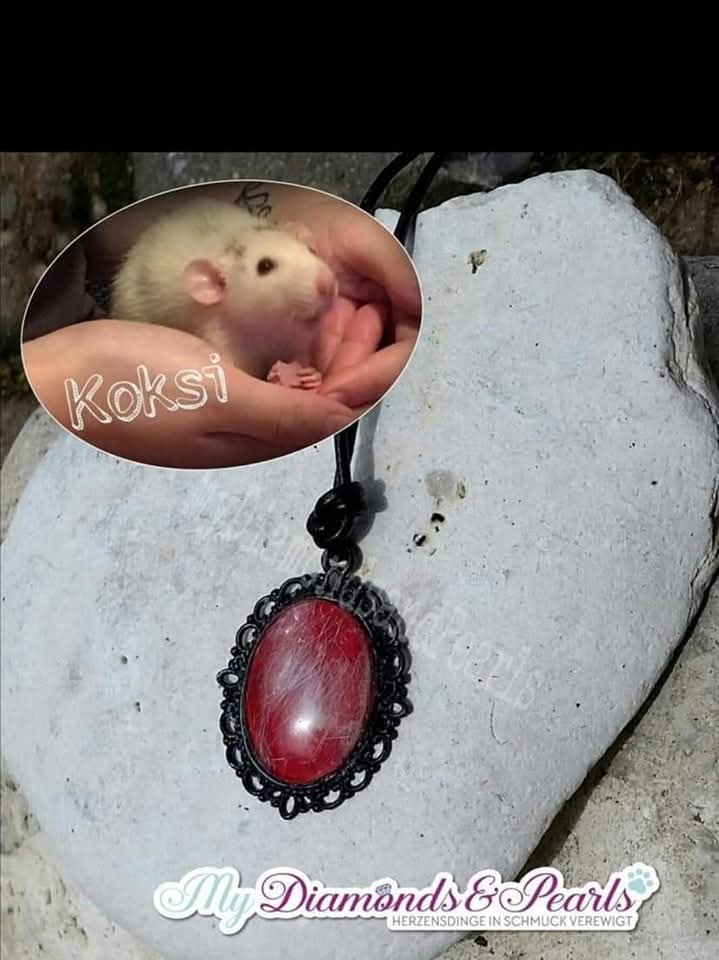 Herzensmaterial einer Ratte eingearbeitet in Cabochon-Anhänger