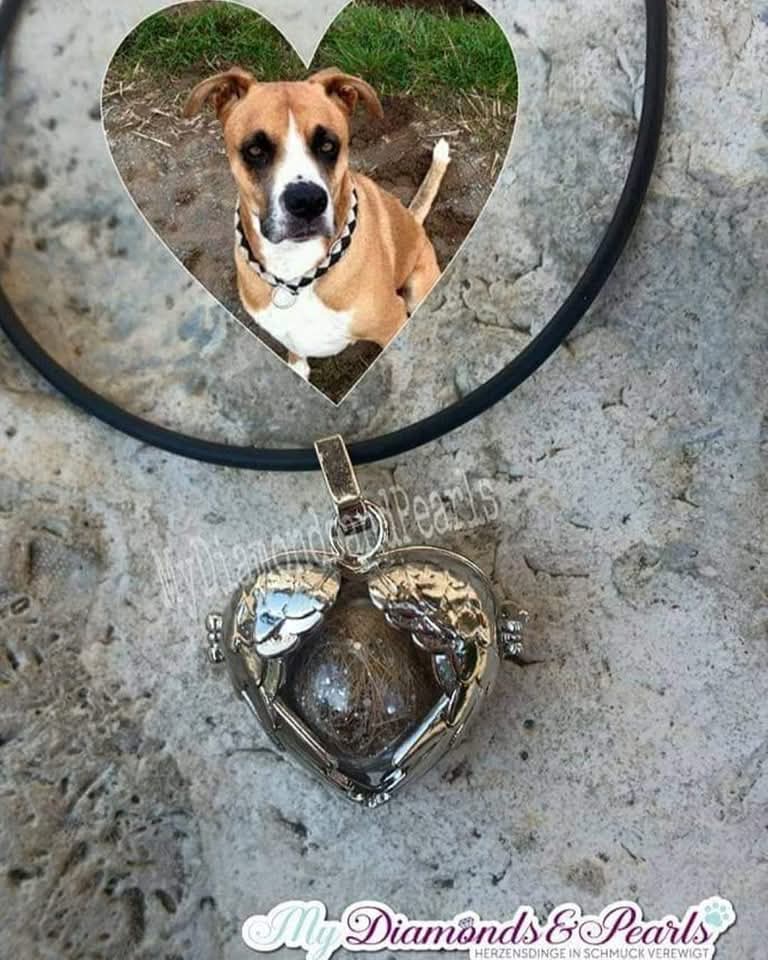 Herzensmaterial eines Hundes, eingearbeitet in den Flügelherz-Anhänger