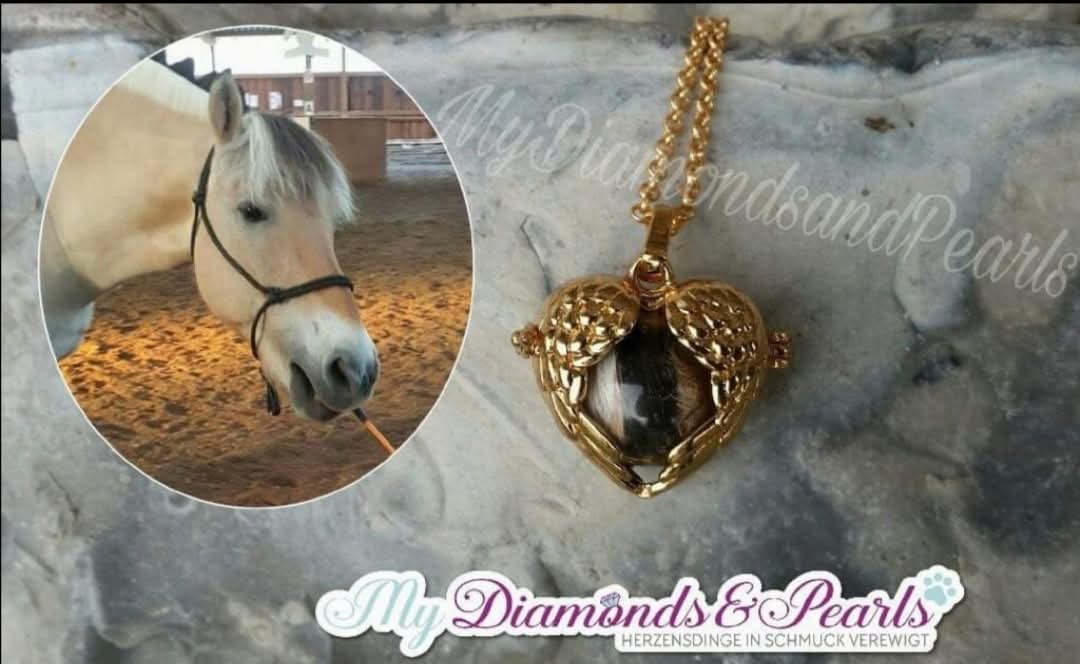Pferd Herzensmaterial, eingearbeitet in goldenen Flügelherz-Anhänger