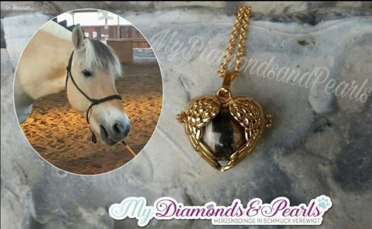 Pferd Herzensmaterial, eingearbeitet in goldenen Flügelherz-Anhänger