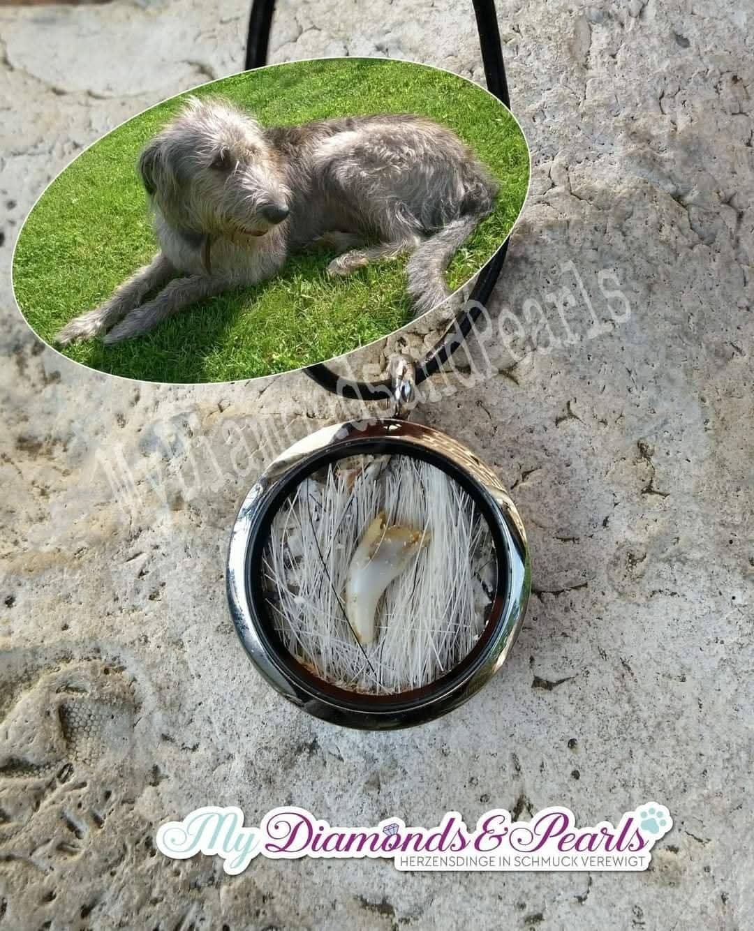 Hund Herzensmaterial, eingearbeitet in Edelstahl-Medaillon