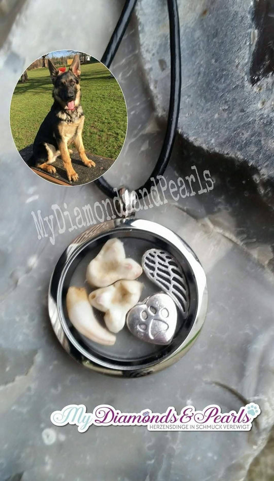 Herzensmaterial eines Hundes, eingearbeitet in Edelstahl-Medaillon