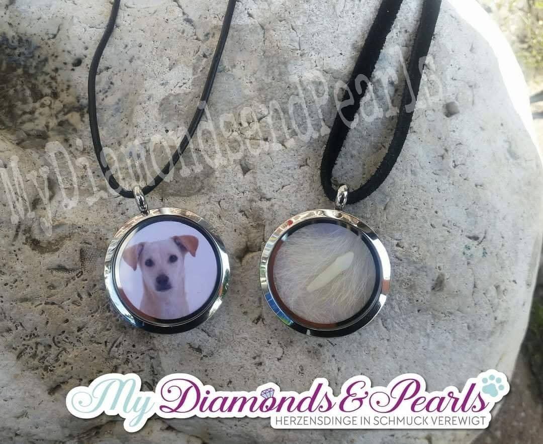 Hund Herzensmaterial eingearbeitet in Edelstahl-Medaillons