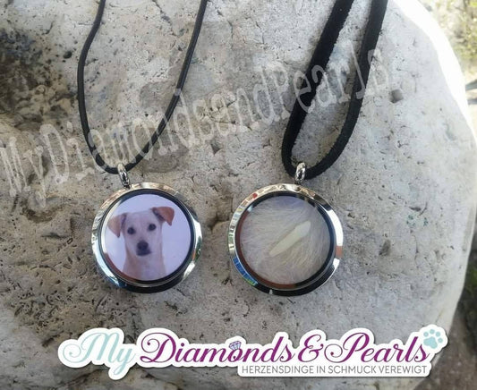 Hund Herzensmaterial eingearbeitet in Edelstahl-Medaillons