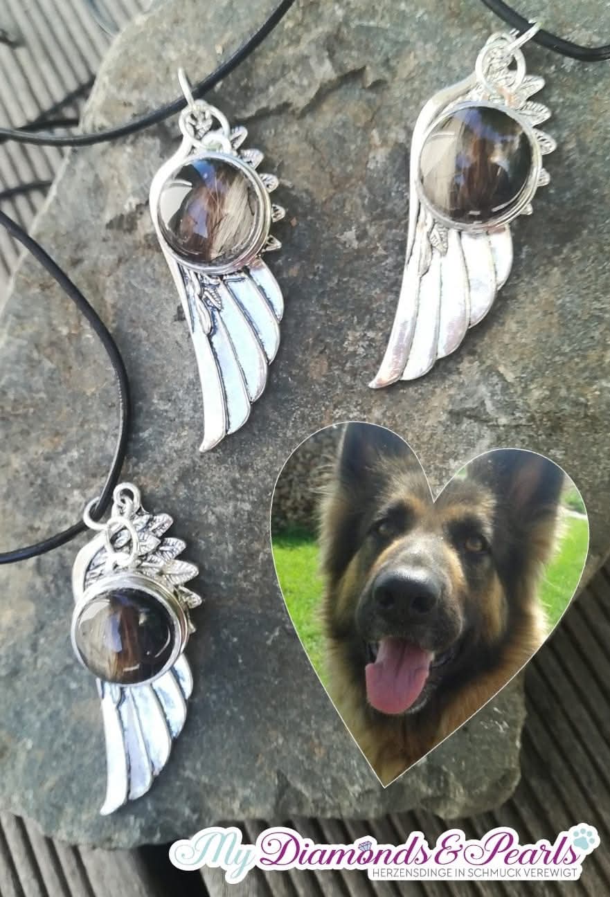 Hund Herzensmaterial eingearbeitet in die Fassung des Flügel-Anhängers
