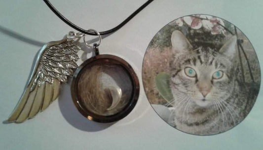Herzensmaterial einer Katze, eingearbeitet in kleinen Anhänger inkl. Charm