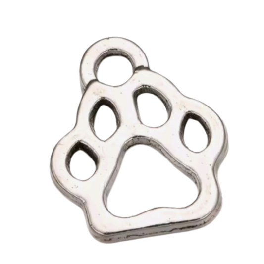 Charm Pfote 1