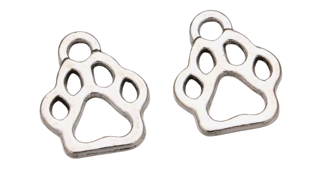 Charm Pfote 1